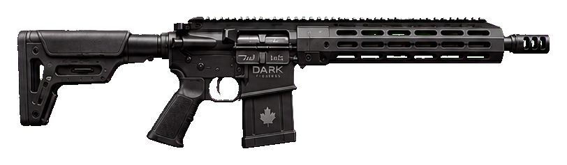 DF-12 Bruiser rifle