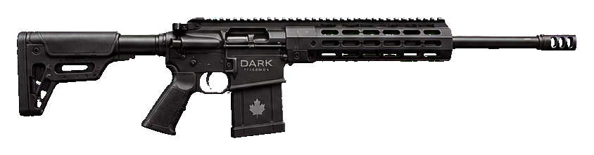 DARK Firearms rifle presentation